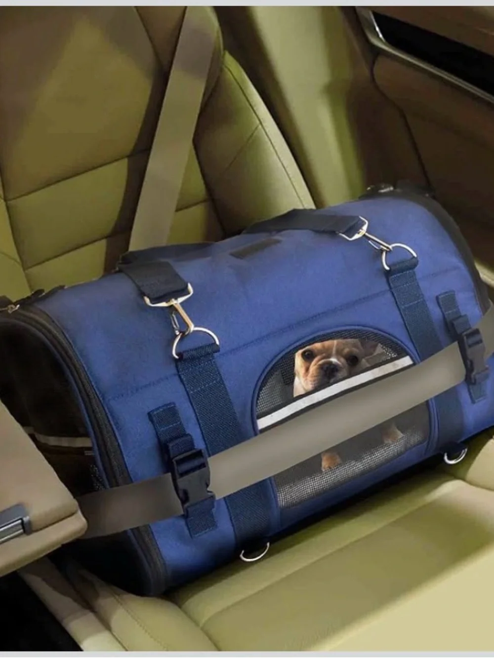 6-in-1 Sturdy Pet Carrier Backpack, Front Pack, Shoulder Bag, Bag Size XS